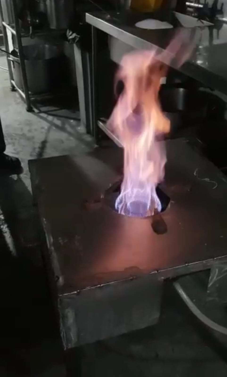 Bio burner